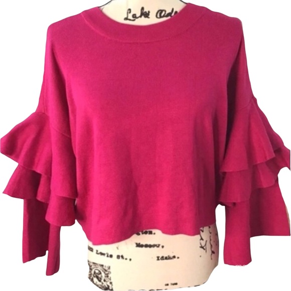 ELODIE | Ruffle Sleeve Pullover Sweater | M - Picture 2 of 10